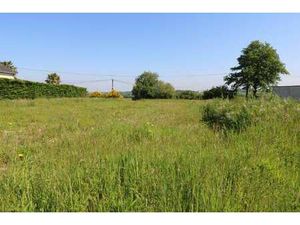 Vente Terrain à Mûrs-Erigné (49610) : à vendre / Mûrs-Erigné