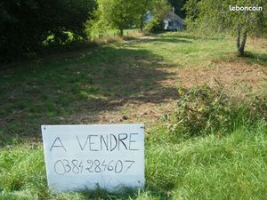 Terrain constructible