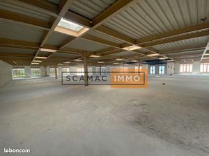 Local d'activité 1 055 m²