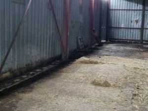 Loue Hangar 200m² environ