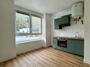 Appartement T2 wifi + parking pompe à chaleur