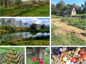 Vente terrain loisir/permaculture