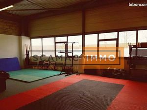 Local d'activité 290 m²