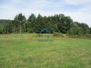 Terrain constructible viabilisé à vendre