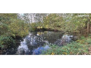 Terrain 2420 m² Sillé-le-Philippe