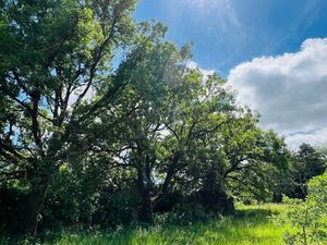 Terrain 1060 m² Migné-Auxances