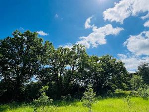 Terrain 987 m² Migné-Auxances