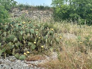 ANSOUIS (84240) - Sud Lubéron - TERRAIN CONSTRUCTIBLE 2200m2 - Proche village