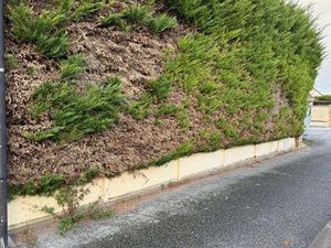 Terrain plat constructible