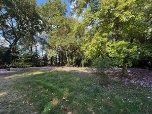 Vente Terrain à Bouchemaine (49080) : à vendre / 9707m² Bouchemaine