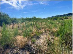 Terrains à bâtir avec projet et permis d’urbanisme