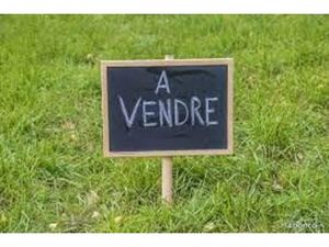 Terrain 29276 m² Valdivienne