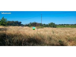 Terrain 5590 m² MAZAN