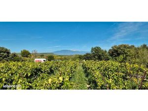 Parcelle vigne Vue Ventoux A Pernes Les Fontaines 2000m