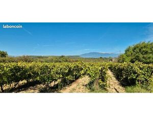 Parcelle vigne Vue Ventoux A Pernes Les Fontaines 3000m
