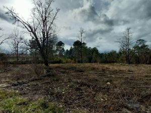 Vente terrain 1100 m² à Chancelade (24650)  58 000 €