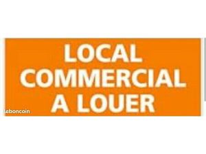 Local professionnel à louer
