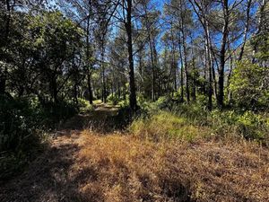 Vente terrain 1545 m² à Frejus (83600)  190 000 €