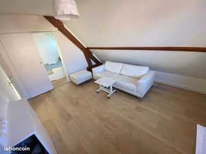 2 pièces meublé  refait à neuf  centre ville  parking