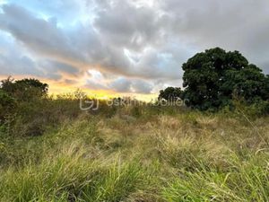 Vente terrain 987 m² à Saint-Louis (97450)  315 000 €