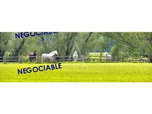 Vente haras / equestre Villemer  240m² 5 pièces 1 567 500€ avec garage