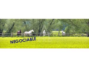 Vente haras / equestre Villemer  280m² 7 pièces 1 964 600€ avec garage