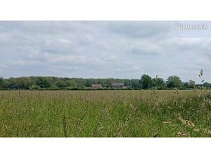 Ensemble immobilier rare sur 2500 m2. Deux maisons à fort potentiel