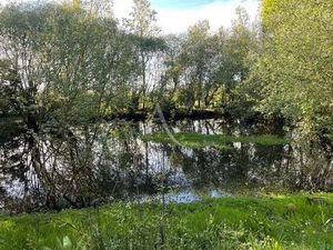 Vente Terrain à Nieul-le-Dolent (85430) : à vendre / Nieul-le-Dolent