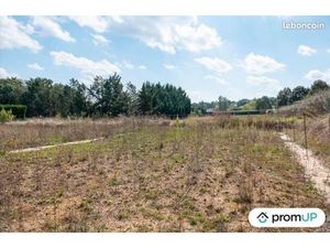 Terrain constructible