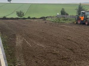 Terrain constructible viabilisé à vendre