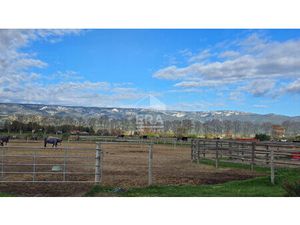 À vendre ? Domaine équestre clé-en-main en Provence
