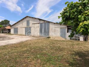 Vente maison 3 pièces 315 m² à Saint-Médard-de-Guizières (33230)  76 000 €