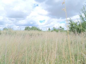 Terrain à vendre PUYRAVAULT 1000m2 20 000€