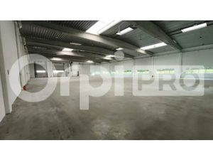 LOCAL D'ACTIVITE A LOUER