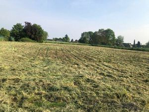 Terrain à vendre à rue des Panneries Rongy (RBU68706)