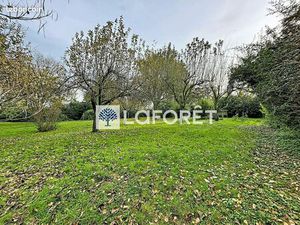 Terrain 847 m² CHATILLON SUR CHALARONNE