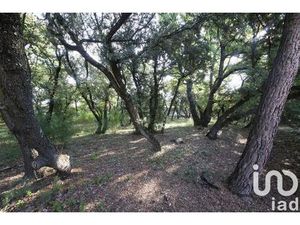 Vente terrain 1000 m² Pernes-les-Fontaines (84210)