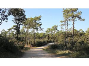 Vente terrain 308 m² à Chateau-d'olonne (85180)  130 000 €