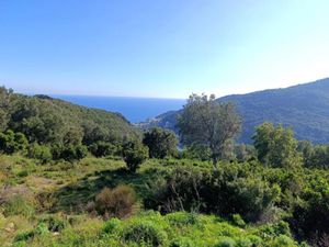 Vente terrain 2978 m² à Santa-Maria-di-Lota (20200)  687 918 €