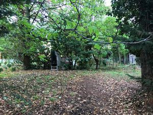 TERRAIN 709M² MARLY LE ROI