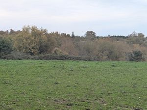 Vente Terrain 28 147 m²