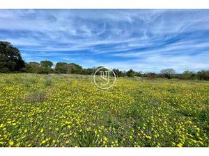 Terrain à vendre à Uzès : 1 050 000€ | 9106m²