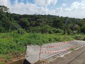 VIGIER Fabiola Capifrance