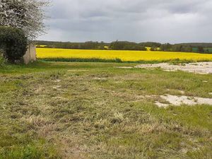 Terrain constructible viabilisé à vendre