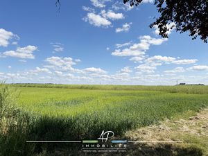 Grand terrain pour construire la maison de vos rêves !!!