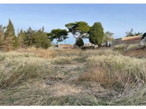 Vente terrain 1000 m² à Rieux-Minervois (11160)  50 000 €