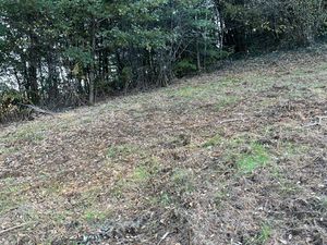 Vente Terrain à bâtir 2 000 m²