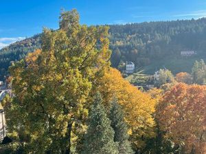 F3 plein Sud  magnifique vue Plombières-les-bains