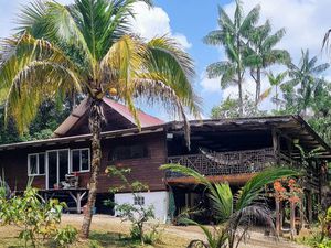 Maison Montsinery Tonnegrande 4 pièces 114 m2