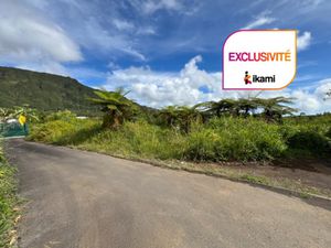 TERRAIN 479 m2 LA PLAINE DES PALMISTES